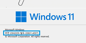윈도우 버전정보