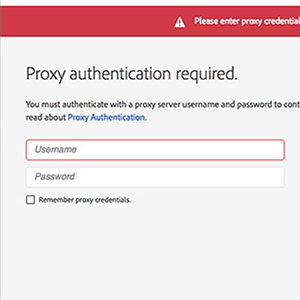 Windows 11에서 Adobe XD 실행하면 프록시 인증이 요구됩니다. 메시지 해결 방법
